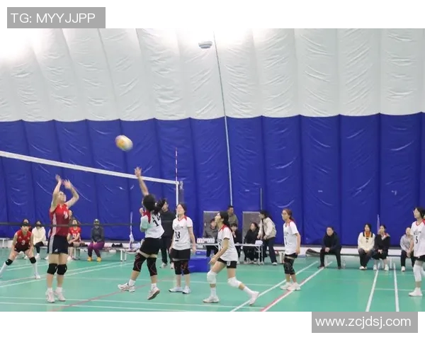 排球心理素质排行榜揭晓北京排球队荣获第二名引发热议 排球心理素质排行榜揭晓北京排球队荣获第二名引发热议