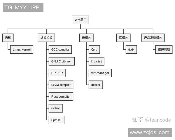 成都羽毛球队与深圳羽毛球队赛后技术分析与战术对比探讨